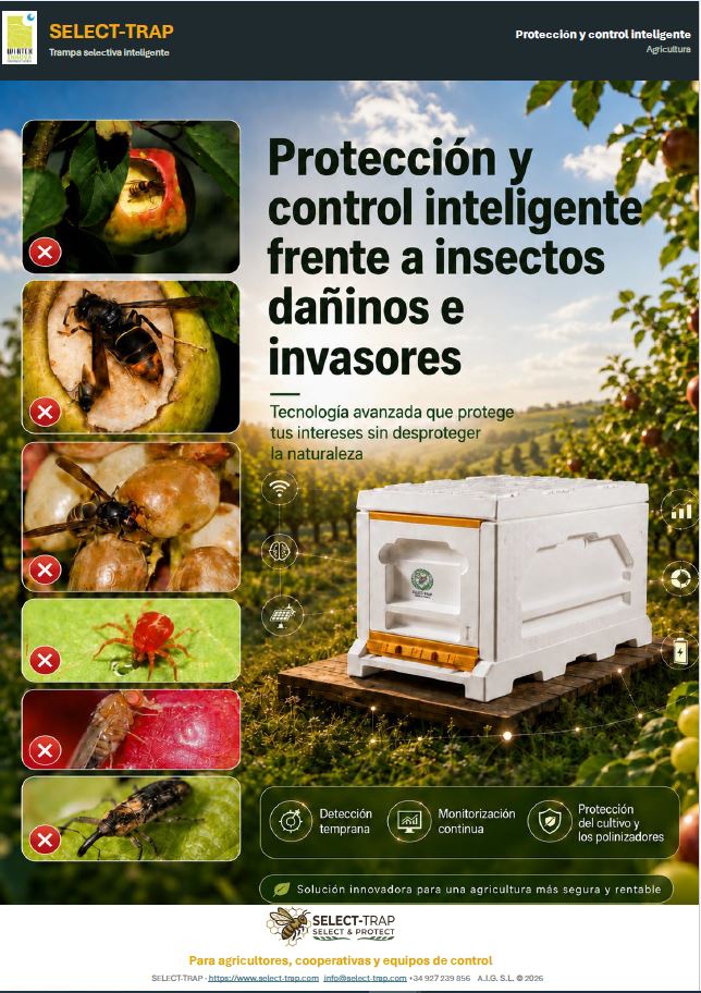 DESCARGAR PDF Image